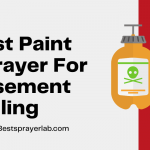 Best Paint Sprayer for Basement